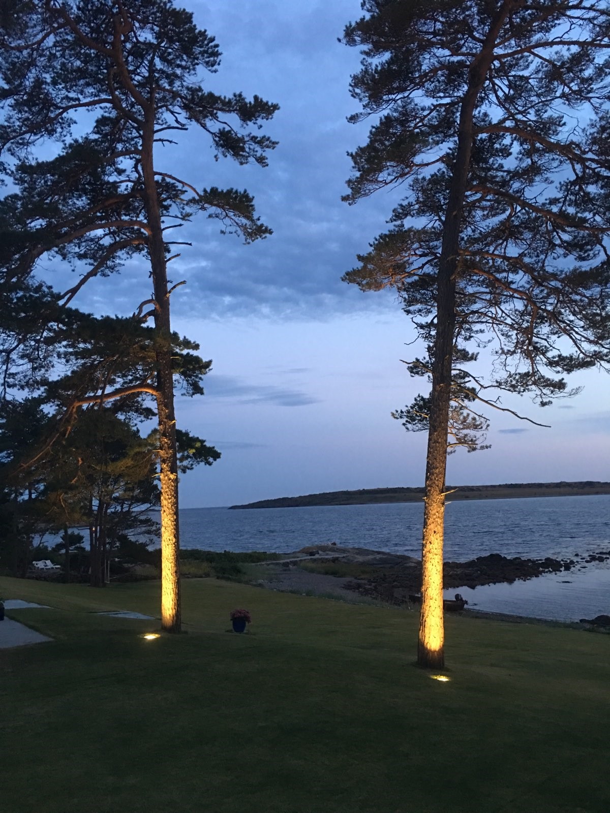 Opplysning av tre - Moss